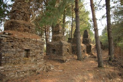 Tombs in the forest