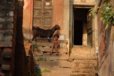 A girl and a goat