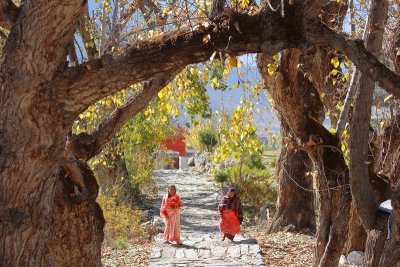 Temple complex alley