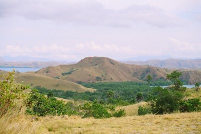 Rinca landscape