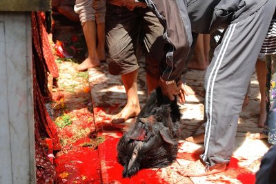 Ritual slaughter