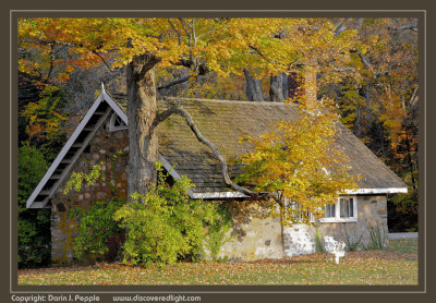 Cabin in fall color