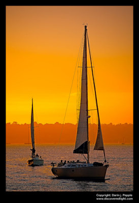 g1/50/868950/3/106362095.FSF7Vfa8.jpg