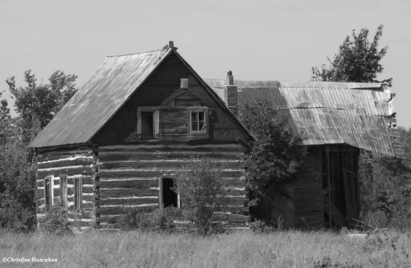 Log house