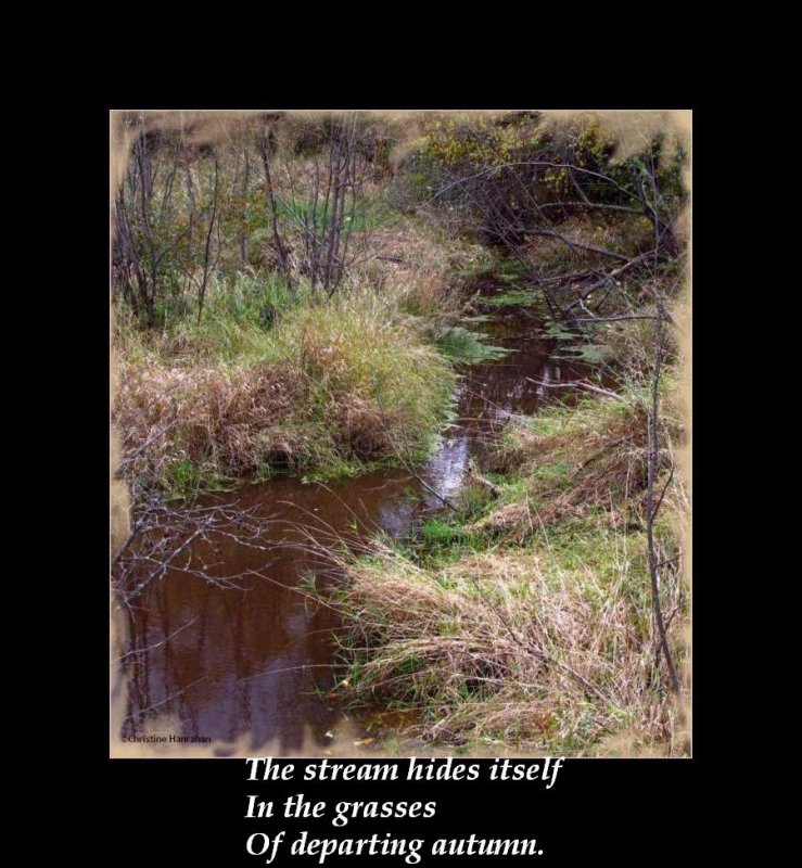 Haiku #7: The stream hides itself