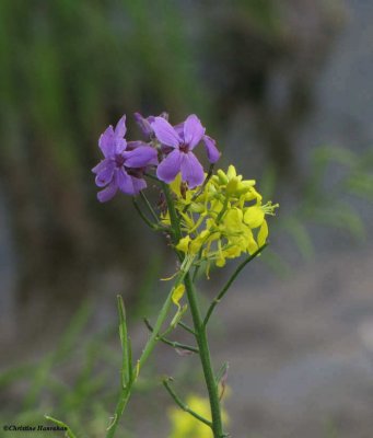 g1/50/883250/3/114345427.e0BfK43x.jpg