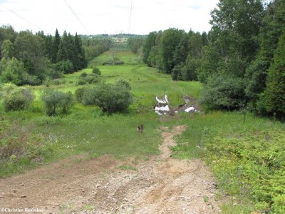 g1/50/883250/3/114653494.j8N7Qfji.jpg