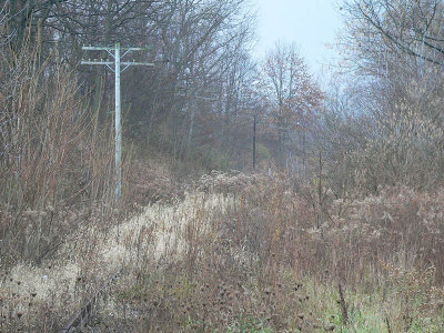 Ghost Route.jpg
