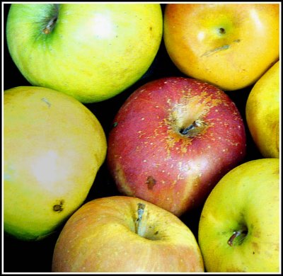 RedAndYellow.jpg