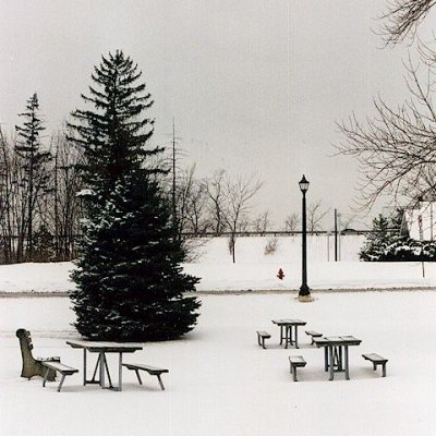 WinterPark.jpg