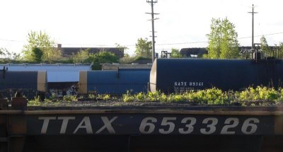 TTAX 653326.jpg