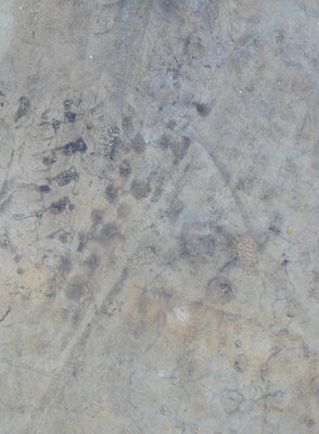 concrete_tyre_marks.jpg