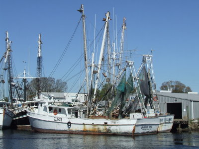 Tarpon Springs, Florida