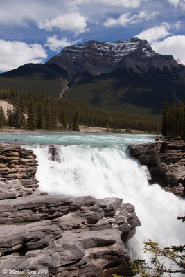 Athabasca Falls - Icefields Parkway