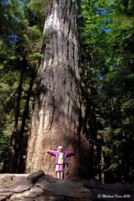 Famke at Cathedral Grove - Port Alberni