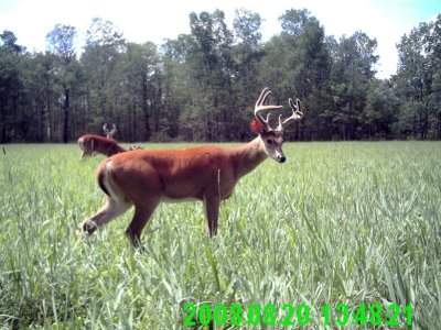3 bucks.jpg