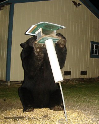 smokey2.jpg