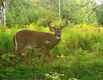 12point6.jpg