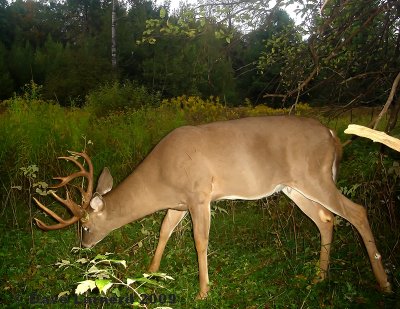 12point3.jpg