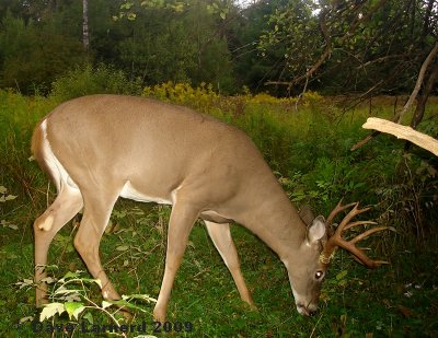 12point5.jpg