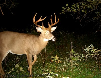 12point2.jpg