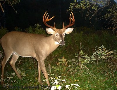 12point1.jpg