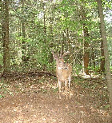 8point7.jpg