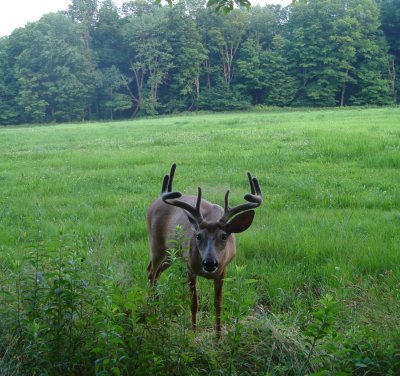 8point3.jpg