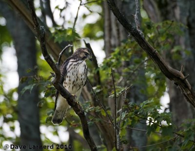 DSC_0495.jpg