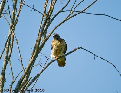 DSC_0551.jpg
