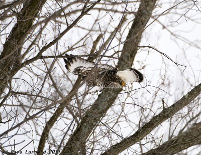 DSC_1093.jpg
