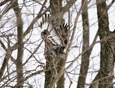 DSC_1096.jpg
