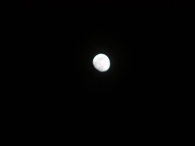 full moon 1.jpg