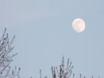 day full moon 3.jpg