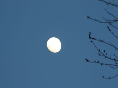 moon 1.jpg