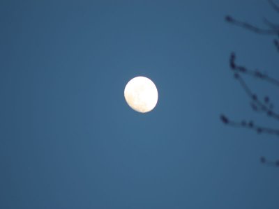 moon 3.jpg
