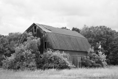 Abandoned barn.jpg