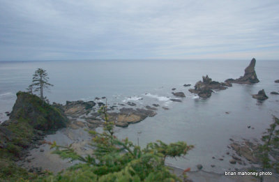 olympic_peninsula_and_national_park