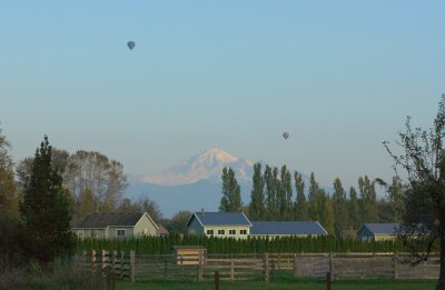 airport balloons 117.jpg