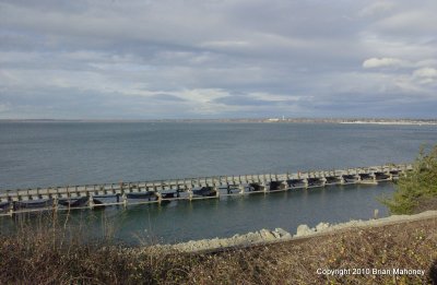 seagulls  dock work 003.jpg