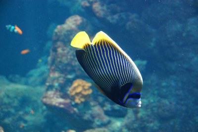 20081026_134214.jpg