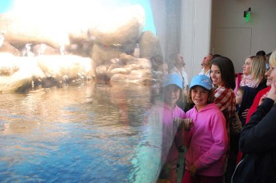 20081026_140525.jpg