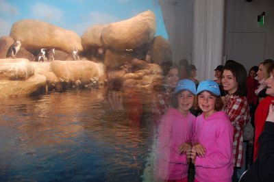 20081026_140550.jpg