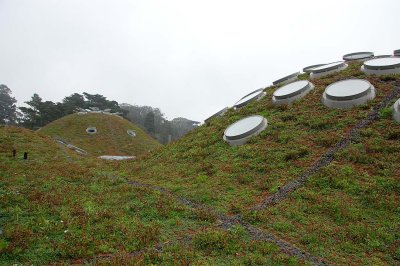 20081026_142323.jpg