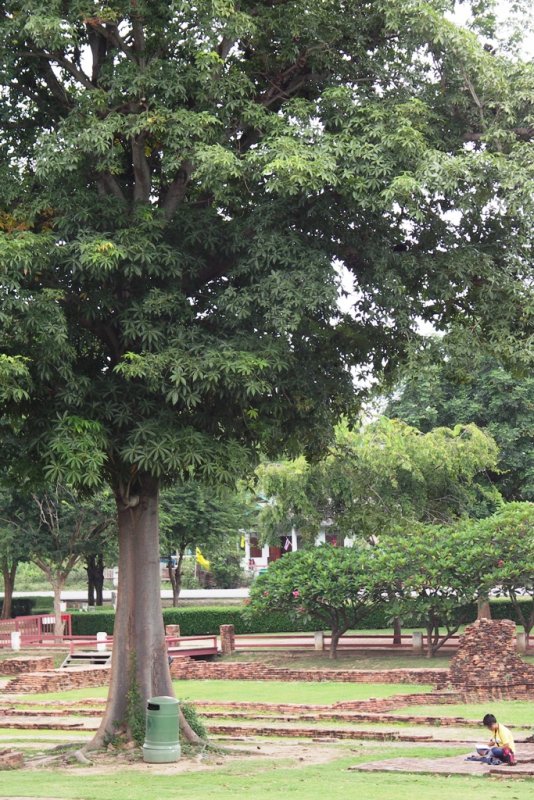PICT8467.JPG