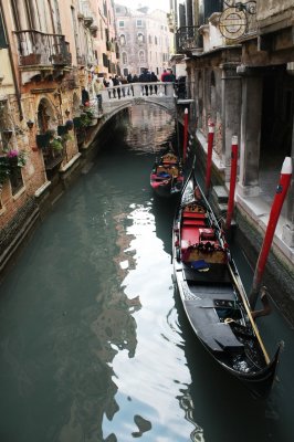 IMG_1594.JPG