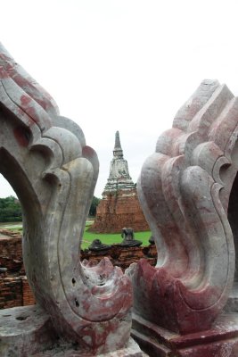 PICT8440.JPG