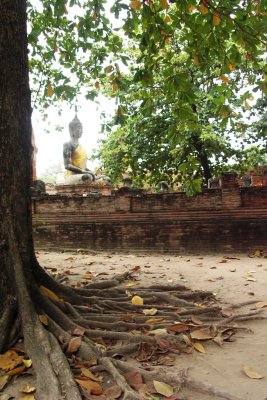 PICT8550.JPG
