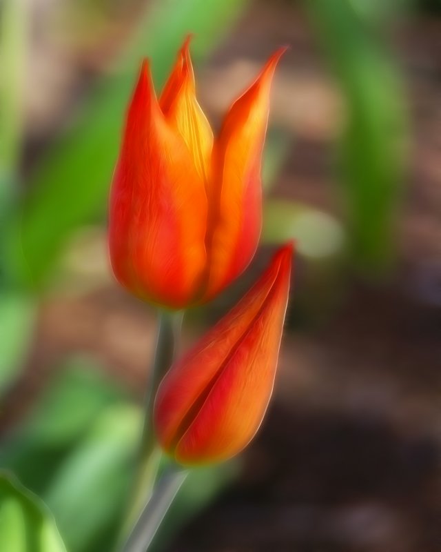 IMG_0503b2.jpg