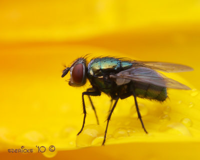 IMG_7681b.jpg